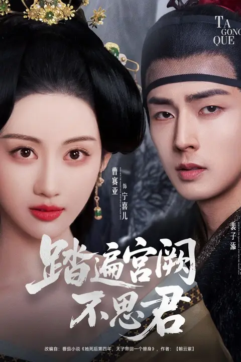 《踏遍宫阙不思君》封面