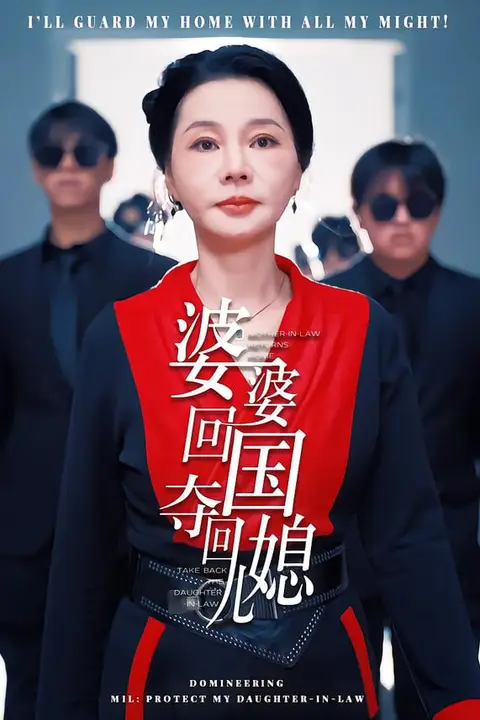 《婆婆回国，夺回儿媳》封面
