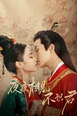 《夜夜相见不识君》封面