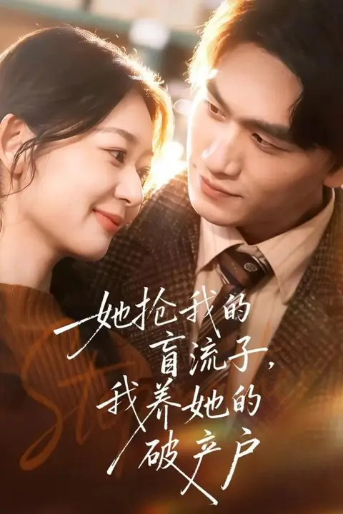 《她抢我的盲流子，我养她的破产户》封面