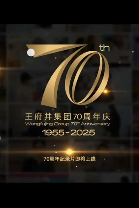 《新中国商业70年——王府井集团》封面