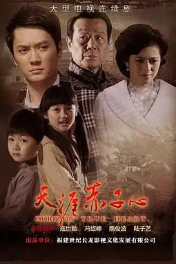 《天涯赤子心》封面