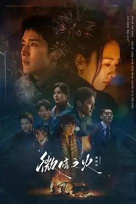 《微暗之火》封面