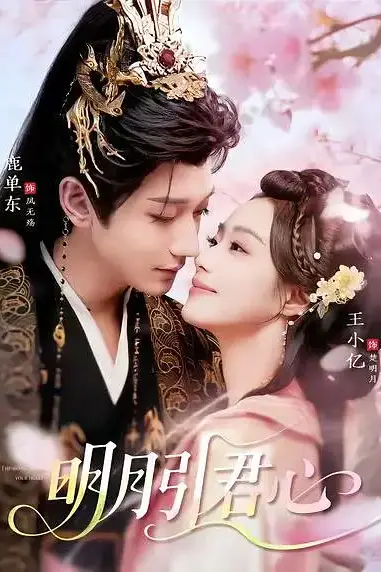 《明月引君心》封面