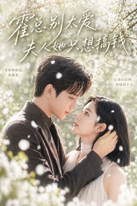 《霍总别太爱,夫人她只想搞钱》封面