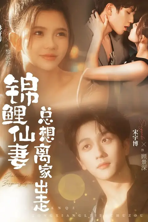 《锦鲤仙妻总想离家出走》封面