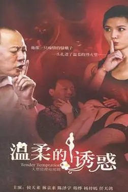 《温柔的诱惑》封面