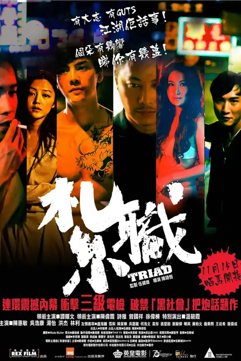 《扎职 2012》封面