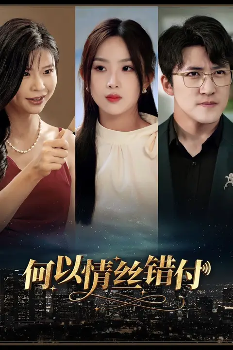 《何以青丝错付》封面