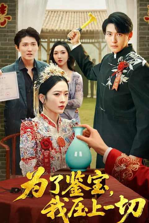 《为了鉴宝我压上一切》封面