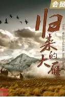《归来的大雁》封面