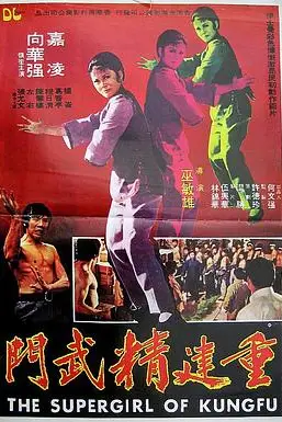 《重建精武门》封面