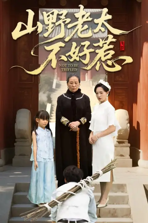 《山野老太不好惹(奶奶一脚震全城)》封面
