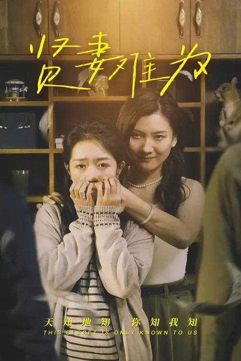 《贤妻难为》封面