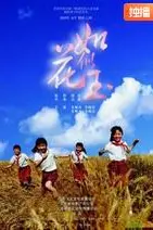 《如花似玉》封面