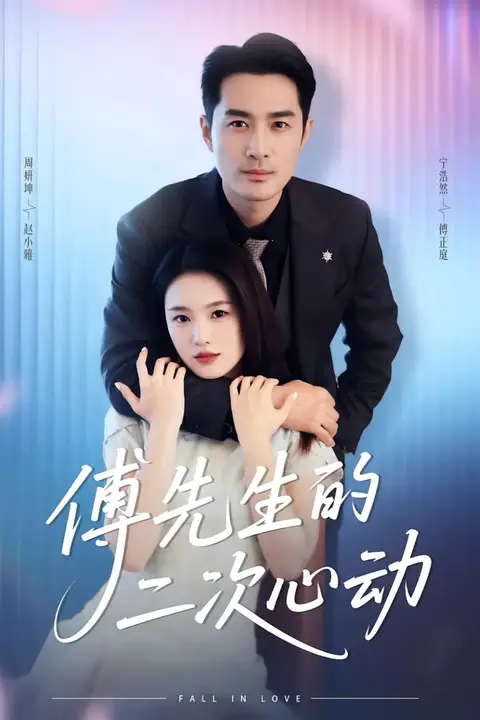 《傅先生的二次心动》封面