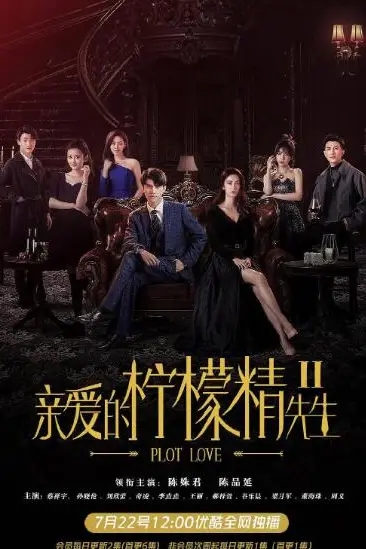 《亲爱的柠檬精先生2》封面