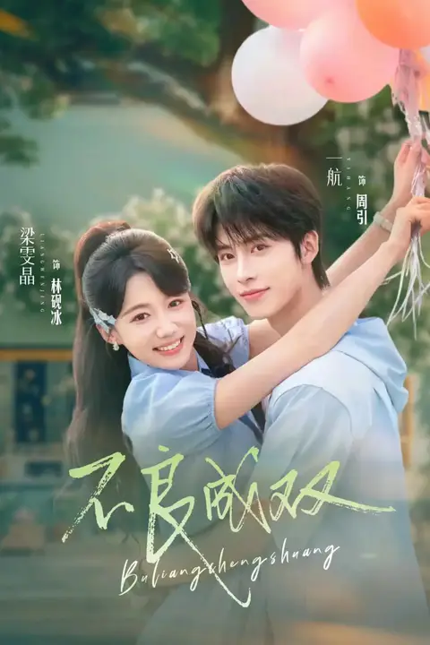 《不良成双》封面