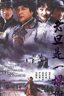 《老旦是一棵树》封面