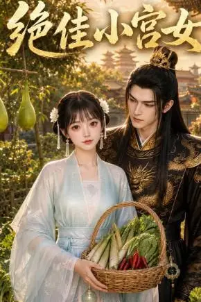 《绝佳小宫女》封面