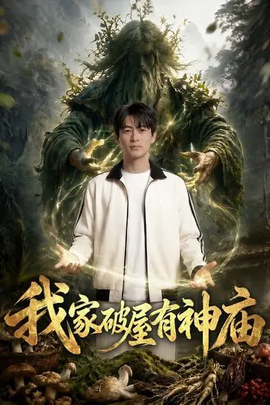 《我家破屋有神庙》封面