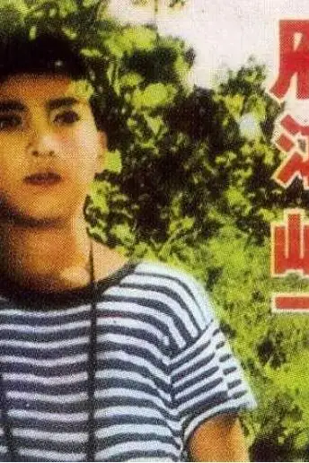 《雁鸿岭下》封面