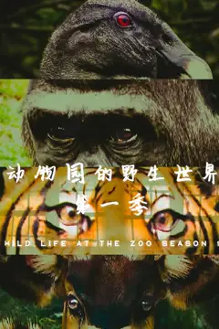 《动物园的野生世界 第一季》封面