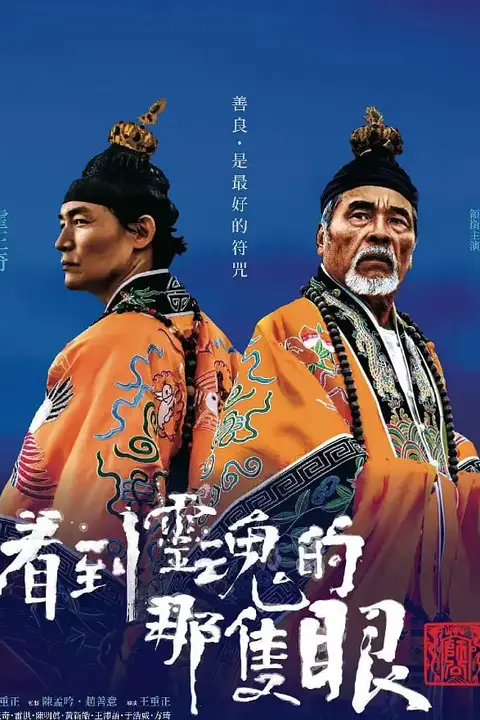 《看到灵魂的那只眼 师公》封面