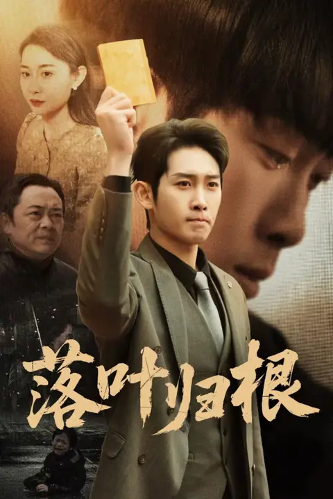 《新落叶归根》封面