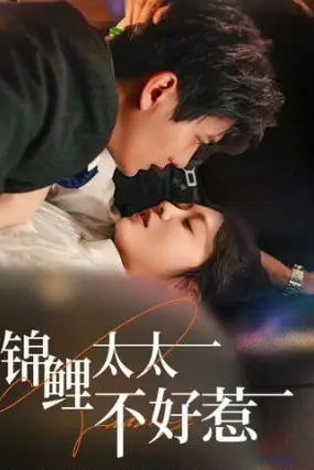 《锦鲤太太不好惹》封面