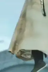 《我为神尊》封面