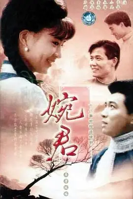 《婉君》封面