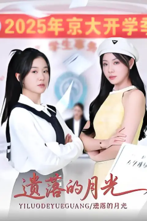 《遗落的月光》封面
