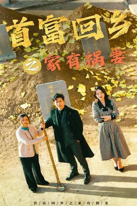 《首富回乡之家有祸妻》封面