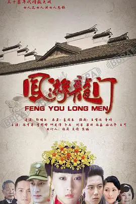 《凤游龙门》封面