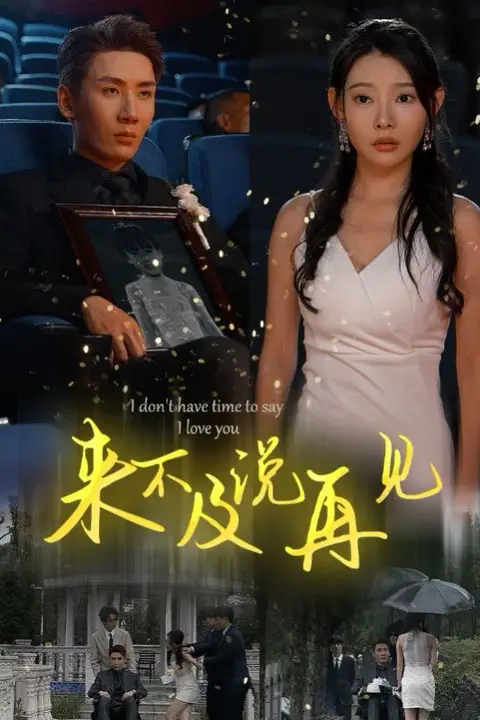 《来不及说再见》封面