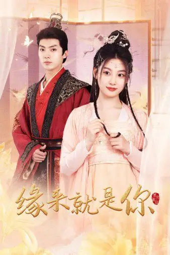 《新版:缘来就是你》封面