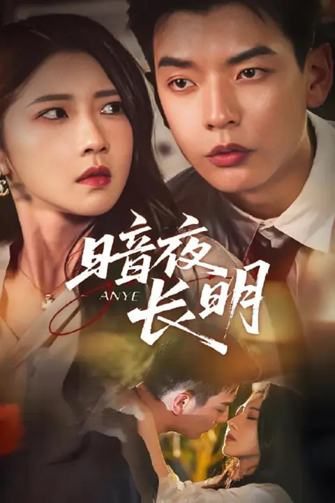 《暗夜长明》封面