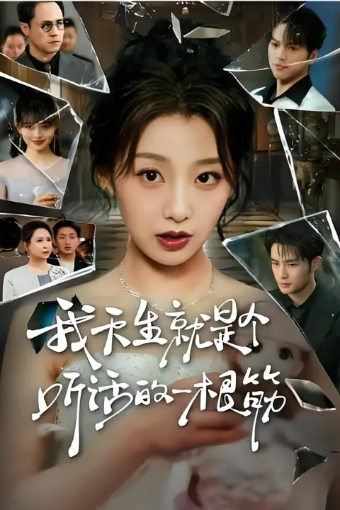 《我天生就是个听话的一根筋》封面