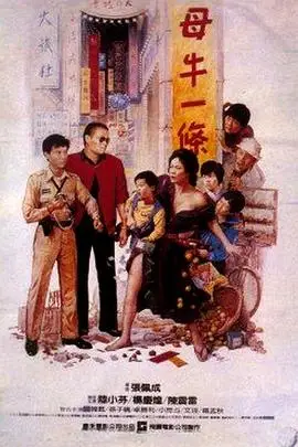 《母牛一条》封面