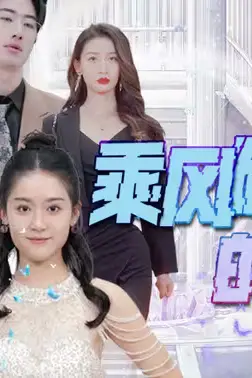 《乘风破浪的婚姻》封面
