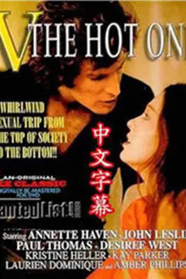 《V娘的故事》封面