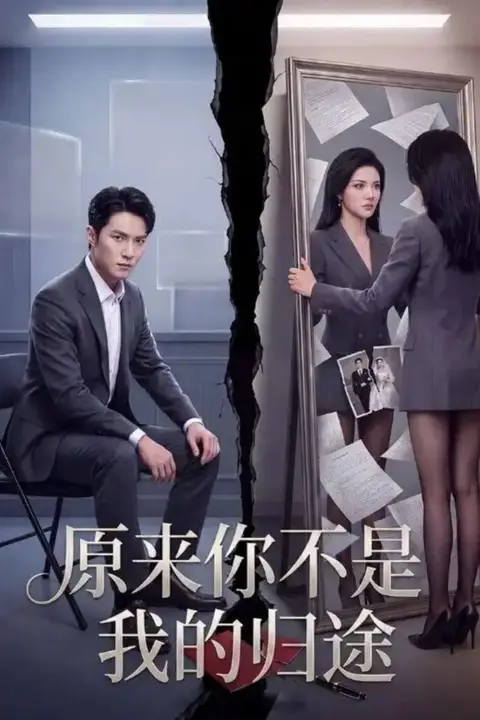 《原来你不是我的归途》封面