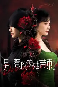 《别惹玫瑰她带刺》封面