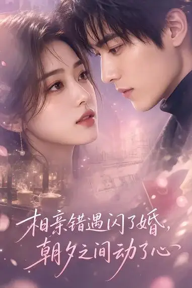 《相亲错遇闪了婚，朝夕之间动了心》封面