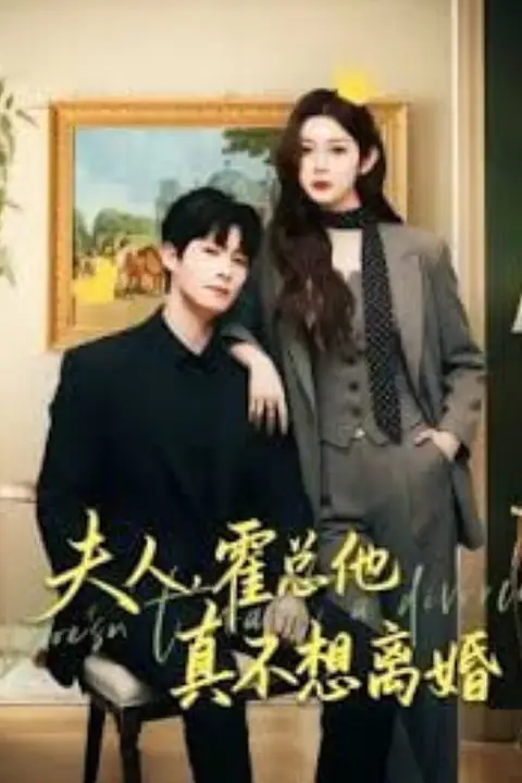 《夫人，霍总他真不想离婚》封面