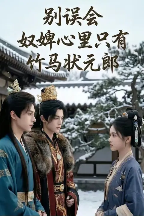 《别误会，奴婢心里只有竹马状元郎》封面
