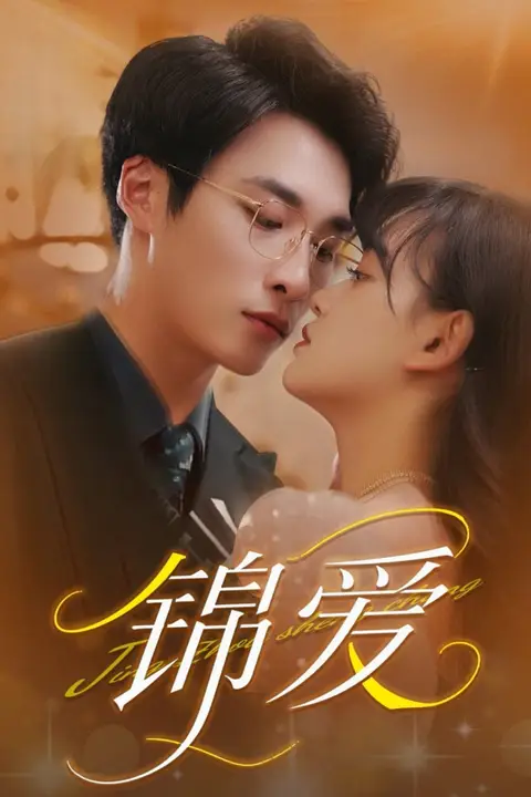 《锦爱》封面