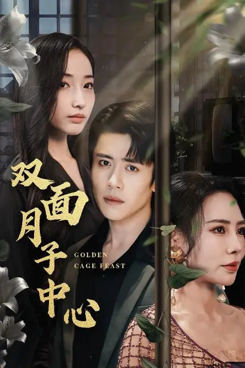 《双面月子中心》封面