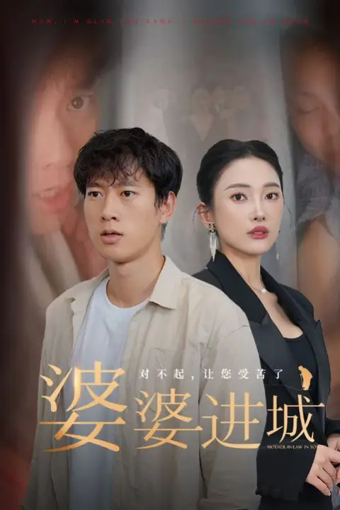 《婆婆进城》封面